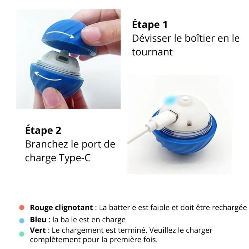 Miniature 3
