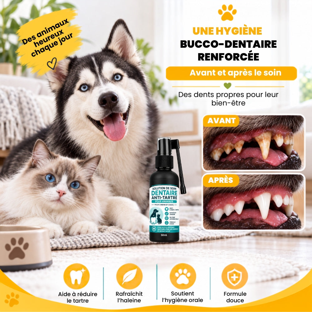 DENTÉA™ - Spray Dentaire Anti-Tartre pour Chiens & Chats